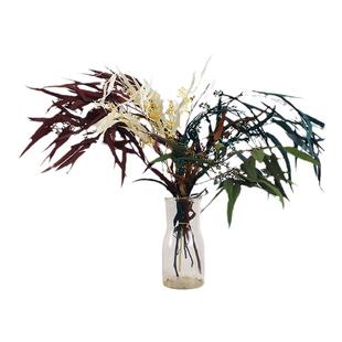 小米叶带果永生花真花民宿白色软装森系装饰配叶干桉树细叶尤加利