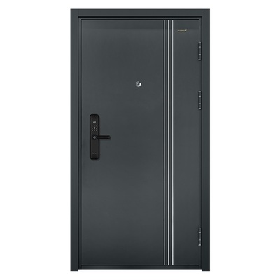 官方旗舰店盼盼防盗门家用