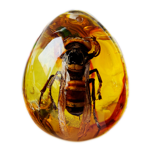 天然黄蜂昆虫琥珀标本虫珀项链带虫子吊坠挂件纯手工制作儿童科普