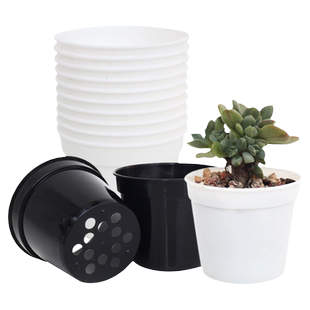 多肉植物小白盆圆盆塑料花盆育苗移苗定植盆小植物桌面迷你盆包邮