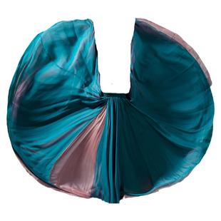 舞蹈大摆裙720度天丝中国现代舞演出服古典舞蹈练功半身群双面穿