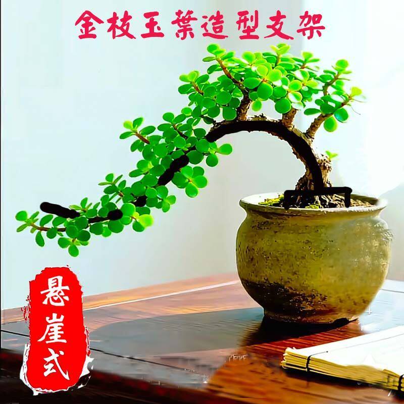 金枝玉叶定型架悬崖式造型支架铁艺骨架植物爬藤架定型禅意花架子