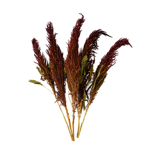 红小米吊米北欧天然干燥垂挂植物插花搭配干花束客厅橱窗装饰摆设