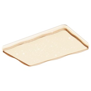 客厅主灯奶油原木风吸顶灯广东中山星空2025新款护眼灯具全屋套餐