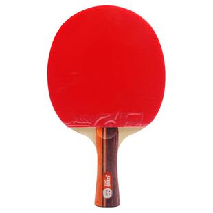 红双喜四星乒乓球拍狂飚胶皮直拍单拍专业级兵乓球拍双横拍2只装