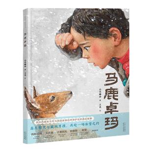 马鹿卓玛 白玛娜珍著 百班千人幼儿园学前大班 亲近母语分级阅读四年级推荐阅读书目 精装硬壳绘本故事书 北京少年儿童出版社 马路