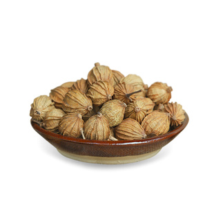 香砂沙仁金砂仁川砂仁500g/250g/50g炖肉卤菜调味料香料卤料大全