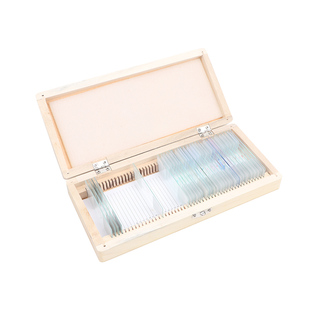 生物实验室切片装片人体四大组织神经/上皮/结缔/肌肉字母e 上字切片 人血涂片植物动物有丝分裂洋葱表皮