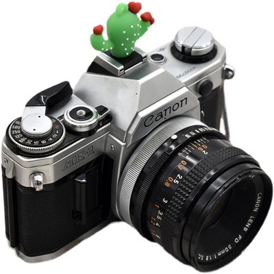 立体红心仙人掌热靴盖相机