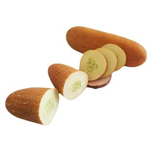 东北老黄瓜应季现摘麻皮老黄瓜种农家新鲜蔬菜炖汤凉菜开胃酸黄瓜