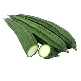 丝瓜种子棱角瓜种籽八角丝瓜籽种大全四季易种耐热春如意蔬菜种孑