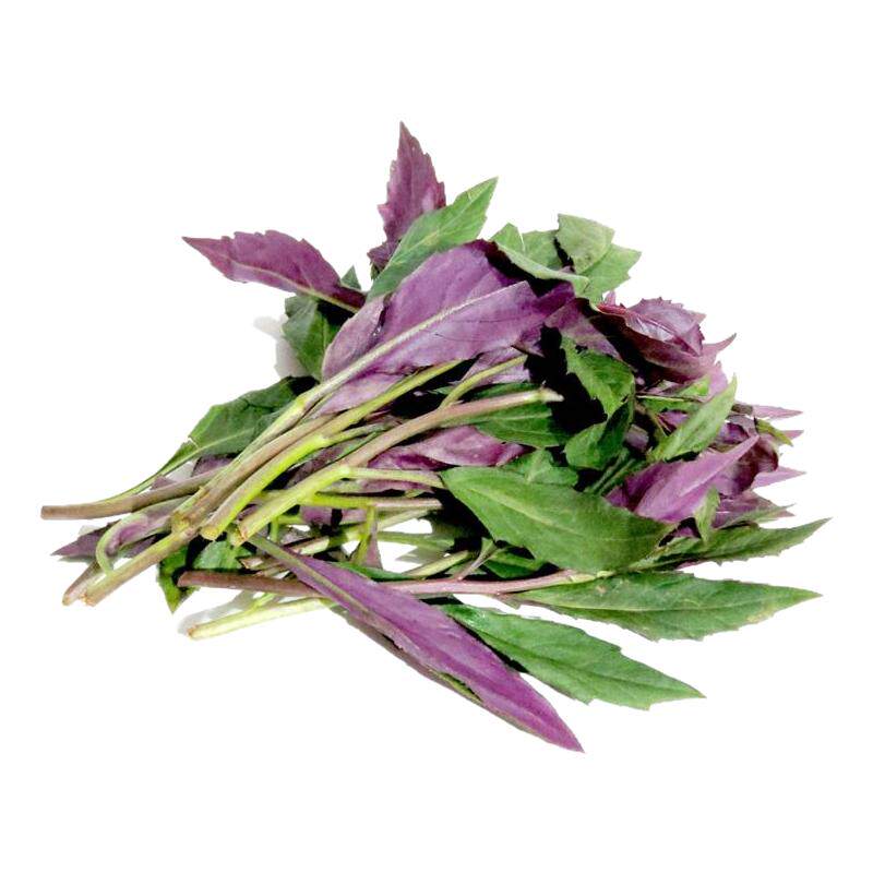【老一生鲜】 新鲜蔬菜新鲜观音菜 1500g 红军菜 红背菜