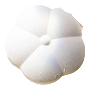 安雅大米干燥石防虫防潮硅藻土剂块食物零食干货收纳储存除湿防霉