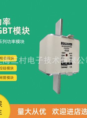 全新熔断器保险丝NH000GG40V25/F223680 NH000GG40V32/G223681