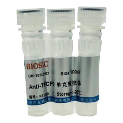 Anti-TFCP2 Monoclonal antibody 实验用单克隆抗体百克赛斯生物