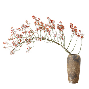 山归来蔷薇果红果干花花束禅意长枝干枝干树枝插花高级感天然真花