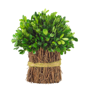 黄杨藤条永生花干花花束客厅办公室仿真花桌面永生绿植装饰小摆件