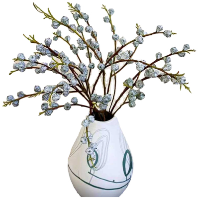 钻石尤加利果大果鲜花空运包邮