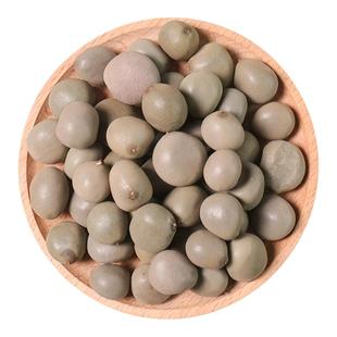 大托叶云实籽500g克包邮中药材天然纯新货云实子陨石子马豆朝天子