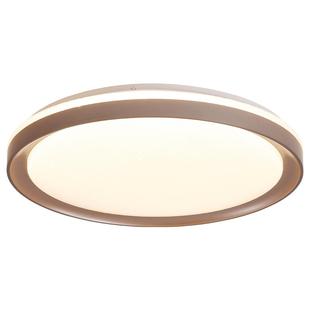 【五折/不包安装】卧室灯吸顶灯现代简约护眼书房间餐厅主灯特价Q