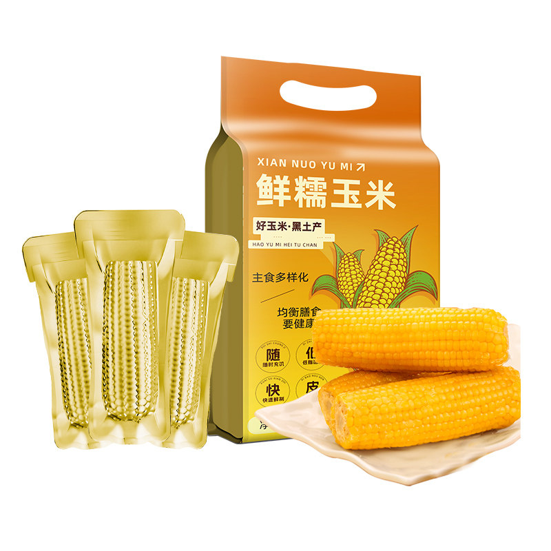 正宗东北黄糯玉米新鲜采摘