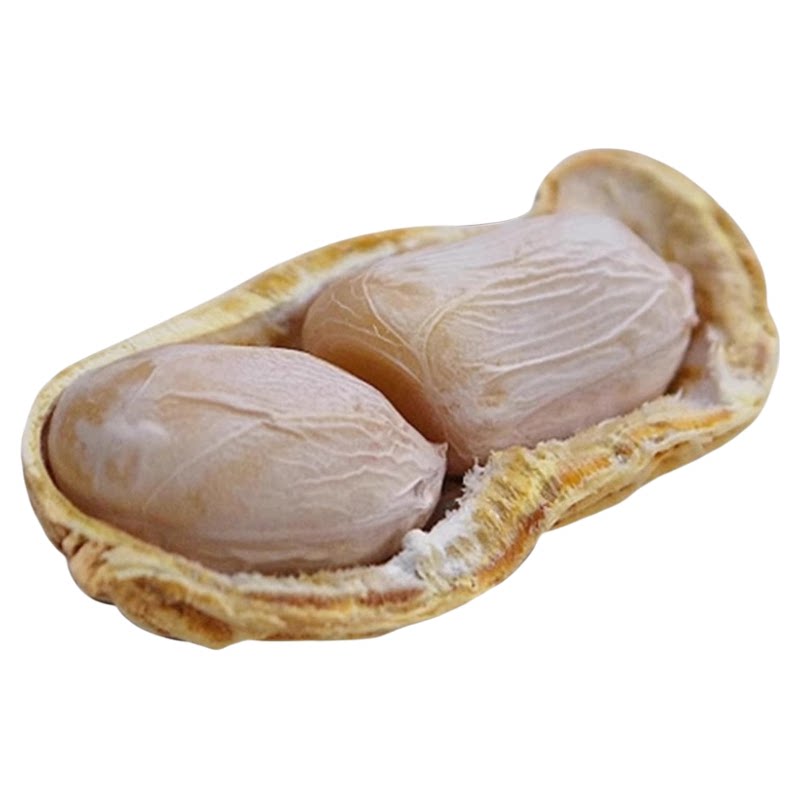 咸脆花生咸香酥脆土特产坚果脆皮原味客家坚果广东河源特产带壳