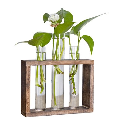 水培植物容器木架台面玻璃花瓶