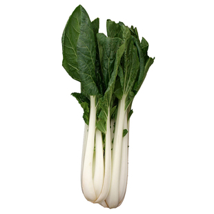长梗白菜种子壶瓶长梗白种籽花叶高梗白高杆箭杆小白菜青菜蔬菜孑