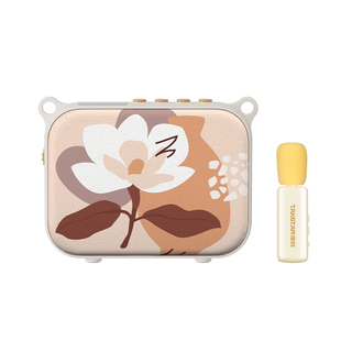 得胜E30W无线领夹扩音器小蜜蜂扩音器导游教师专用得胜扩音器德胜