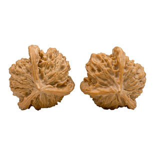 文玩核桃一物一图三棱人字丁字正奔帝王大尺寸三道筋三菱异形手捻