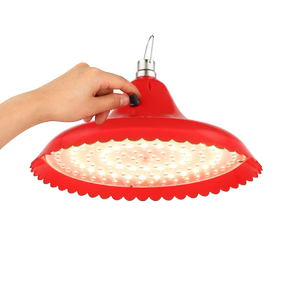 12V调变光地摊灯低压led电瓶灯48V水果灯生鲜灯熟食卤味灯夜市灯