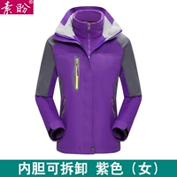 Сиреневый съемный вкладыш