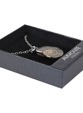 天然斑彩螺化石吊坠包银边项链女