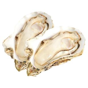 生蚝鲜活新鲜乳山牡蛎带壳海蛎子特大10斤顺丰威海海鲜现捞水产品
