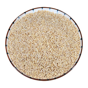 当季新米燕麦胚芽米500克真空装裸燕麦仁轻食粗粮代餐全胚芽米