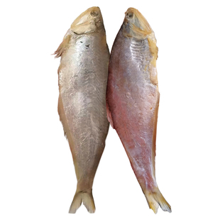 腌咸马口鱼干包邮黄鲫鱼毛扣鱼油扣鱼黄尖子海鲜鱼类制品山东水产