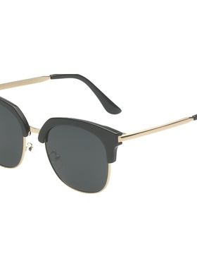 墨镜男士偏光个性风司机镜