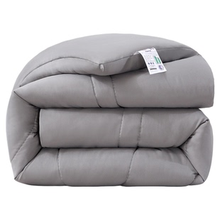 加厚蚕丝被冬被丝棉被芯保暖被子四季通用单双人春秋学生宿舍棉被