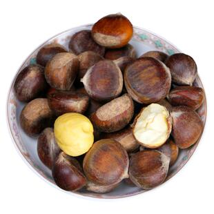 野生毛栗新鲜小板栗生栗子湖北神农架小栗子油栗2025新货锥栗板票