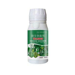 黄瓜病菌清农良丰高抗提质快速复壮微生物制剂蔬菜黄瓜专用叶面肥