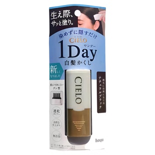 日本Hoyu美源一次性染发笔补鬓角发际线cielo持久遮盖白发不伤发