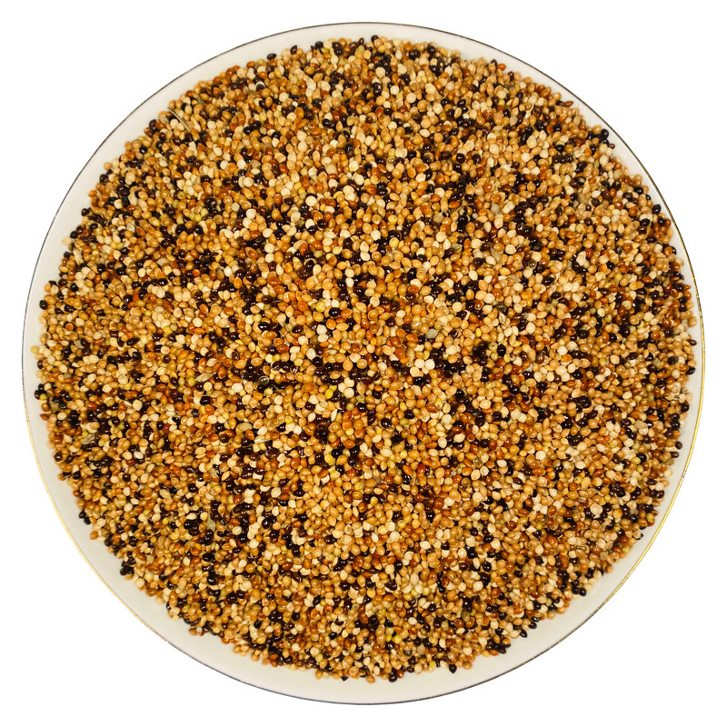 五色黍子虎皮牡丹玄凤中小型鹦鹉鸟食饲料鹦鹉混合粮谷子5斤包邮