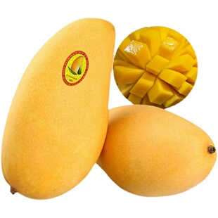 海南正宗特级水仙芒现摘当季新鲜水果金煌黄芒甜心芒10斤整箱包邮