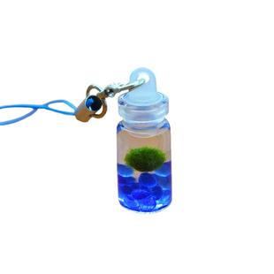 幸福海藻球旅行装迷你植物生态瓶marimo球藻微景观随身瓶创意礼物