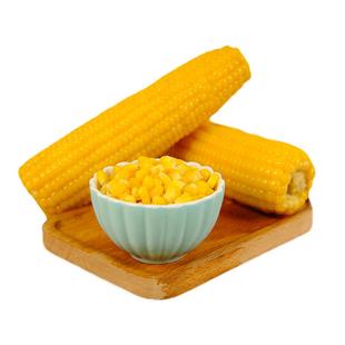 康宇田源糯玉米新鲜黄玉米棒真空8根来自中国甜糯玉米之乡五寨