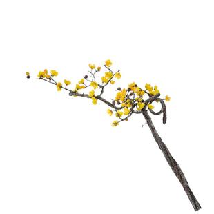 单枝长枝仿真傲骨梅花腊梅假花客厅落地插花家居装饰婚庆花艺促销