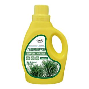 龙血树专用营养液太空铁肥料防枯黄叶斑烂根干尖锈斑病垂叶杀菌剂