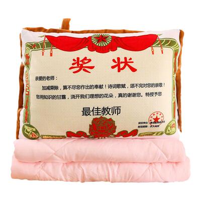 定制奖状抱枕被子二合一创意礼物
