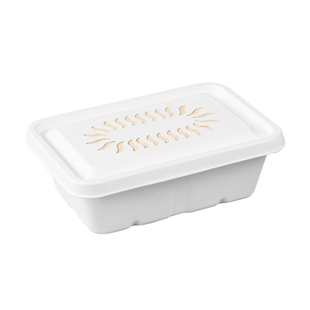 一次性透气孔打包盒会呼吸的餐盒炸鸡烤鸭烧鹅外卖包装盒子可微波