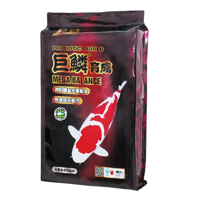 鱼食神阳巨鳞锦鲤饲料比赛育成